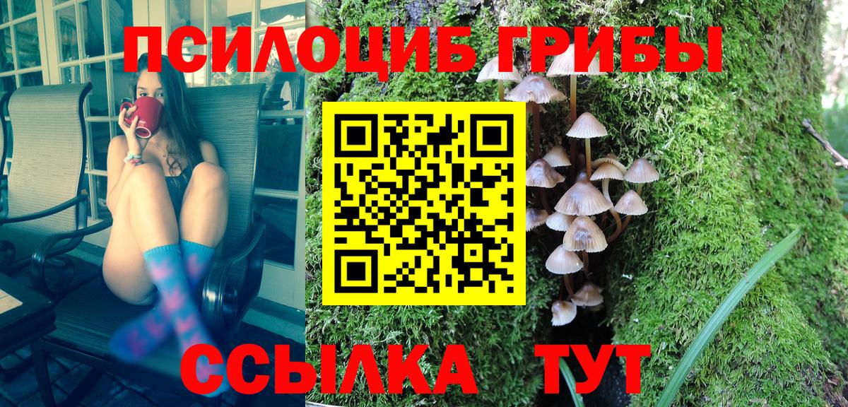 Галлюциногенные грибы Psilocybine cubensis  Вход с VPN  Галлюциногенные грибы MAGIC MUSHROOMS  Иркутск 